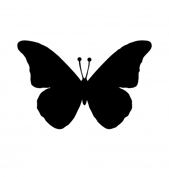 588x615 Black Butterfly Free Stock Photo