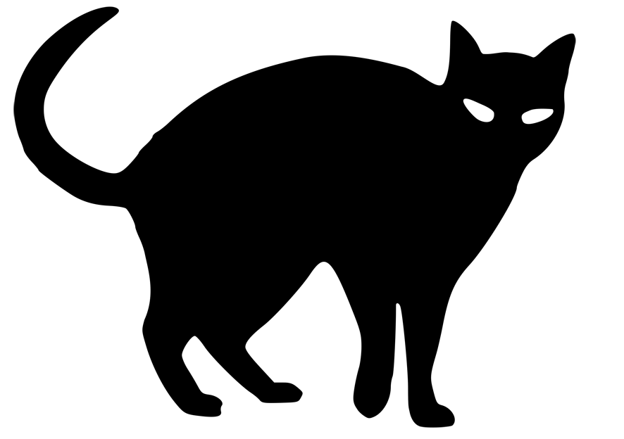 886x624 Image Result For Black Cat Sketch Cats Black Cat