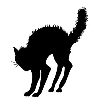 355x355 Halloween Black Cat Silhouette