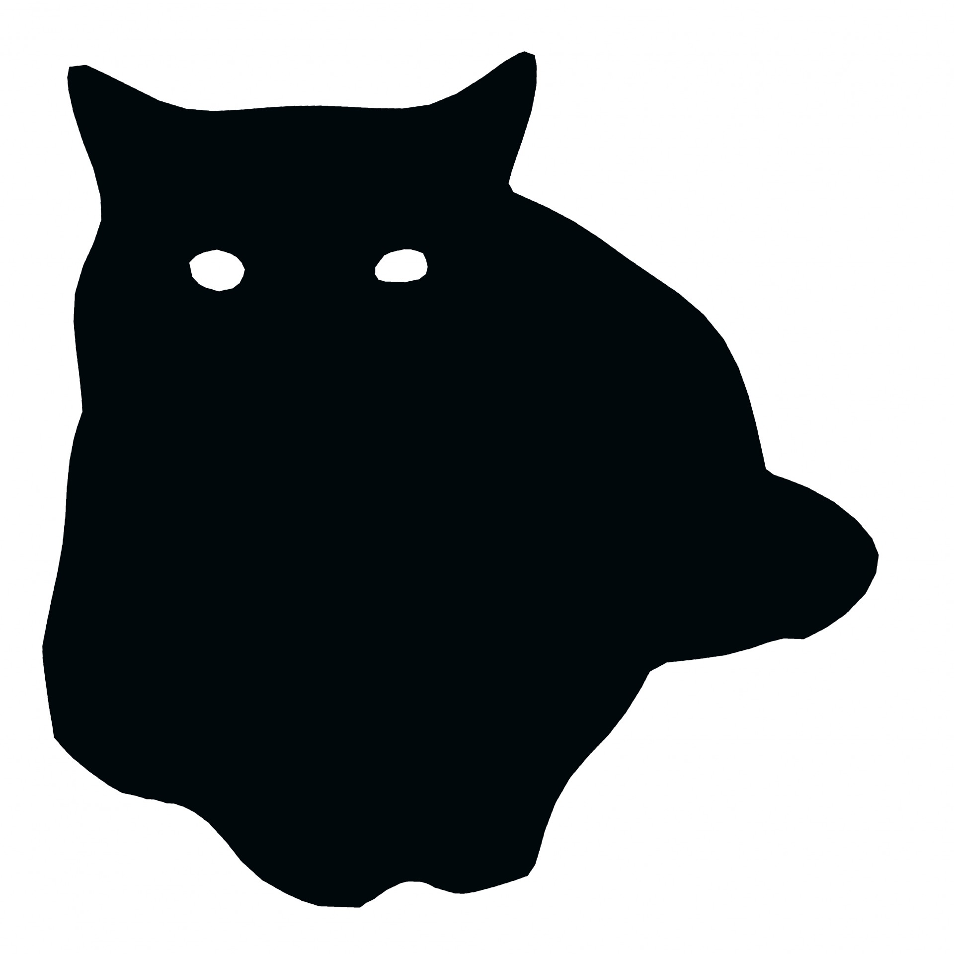 1920x1920 Black Cat Silhouette Free Stock Photo