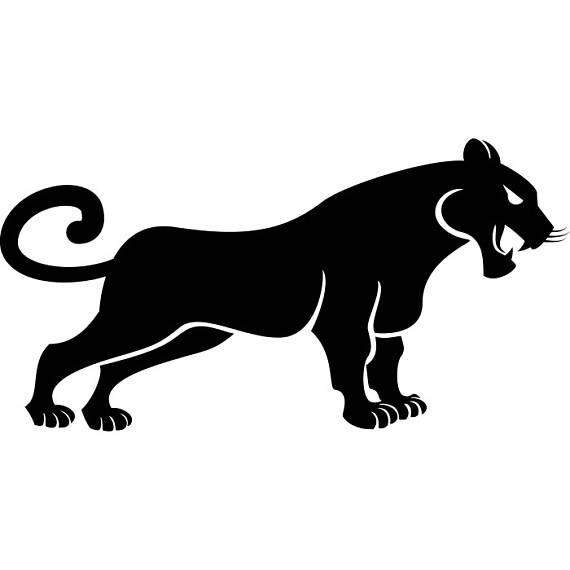 570x570 Black Panther