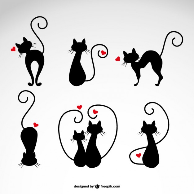 626x626 Black Cat Vectors, Photos And Psd Files Free Download