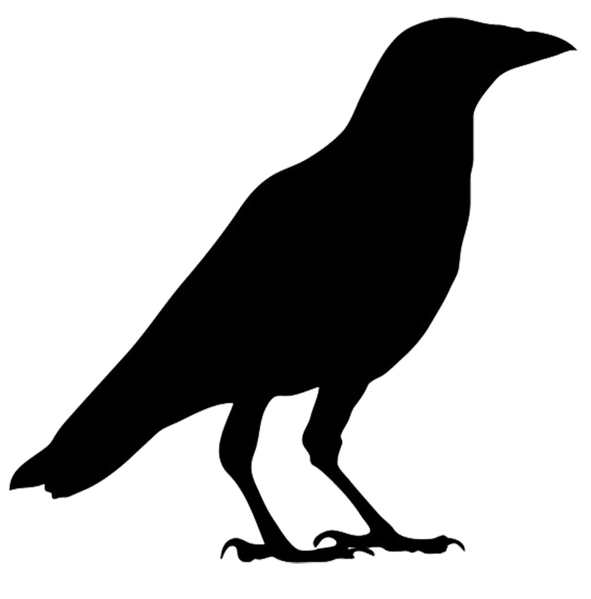 1169x1185 Black Crow Silhouette Clip Art