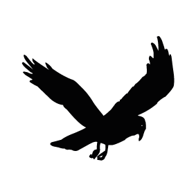283x283 Crow Silhouette Silhouette Of Crow