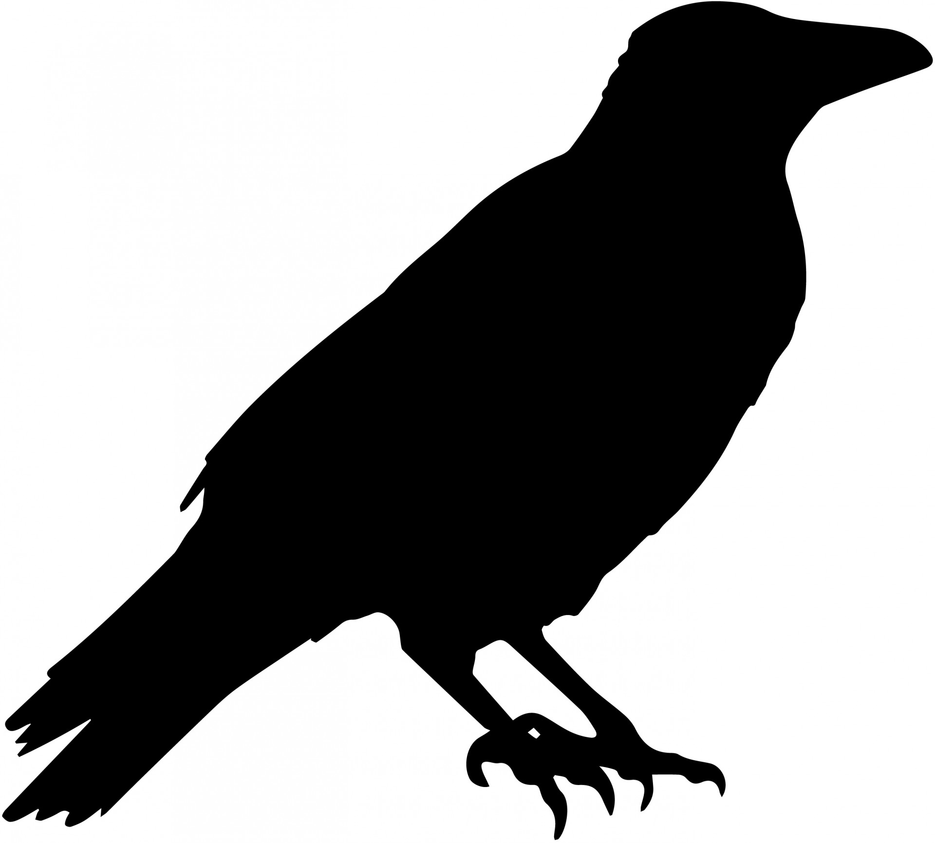 1920x1731 Crow Vector Silhouette Free Stock Photo