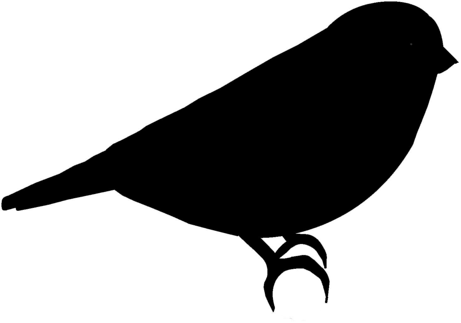 1470x1029 Bird Silhouette Silhouette Of Birds Clipart Image