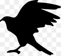 260x240 Bald Eagle Hawk Silhouette Clip Art