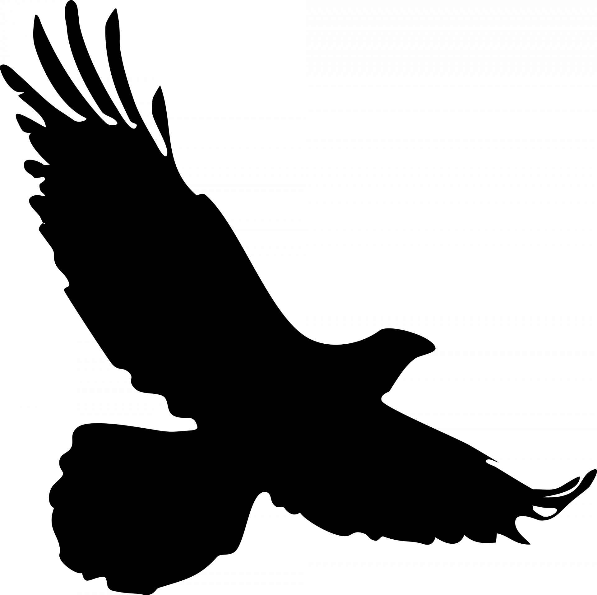 1920x1913 Falcon Silhouette Free Stock Photo