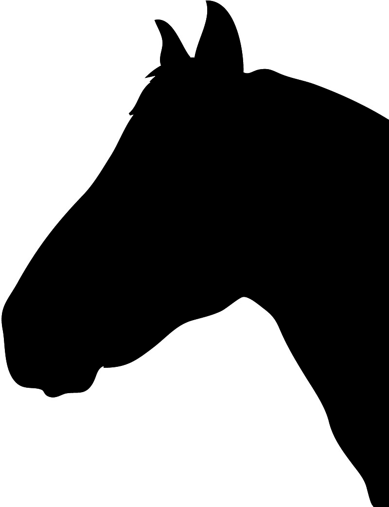 800x1042 Horse Silhouette