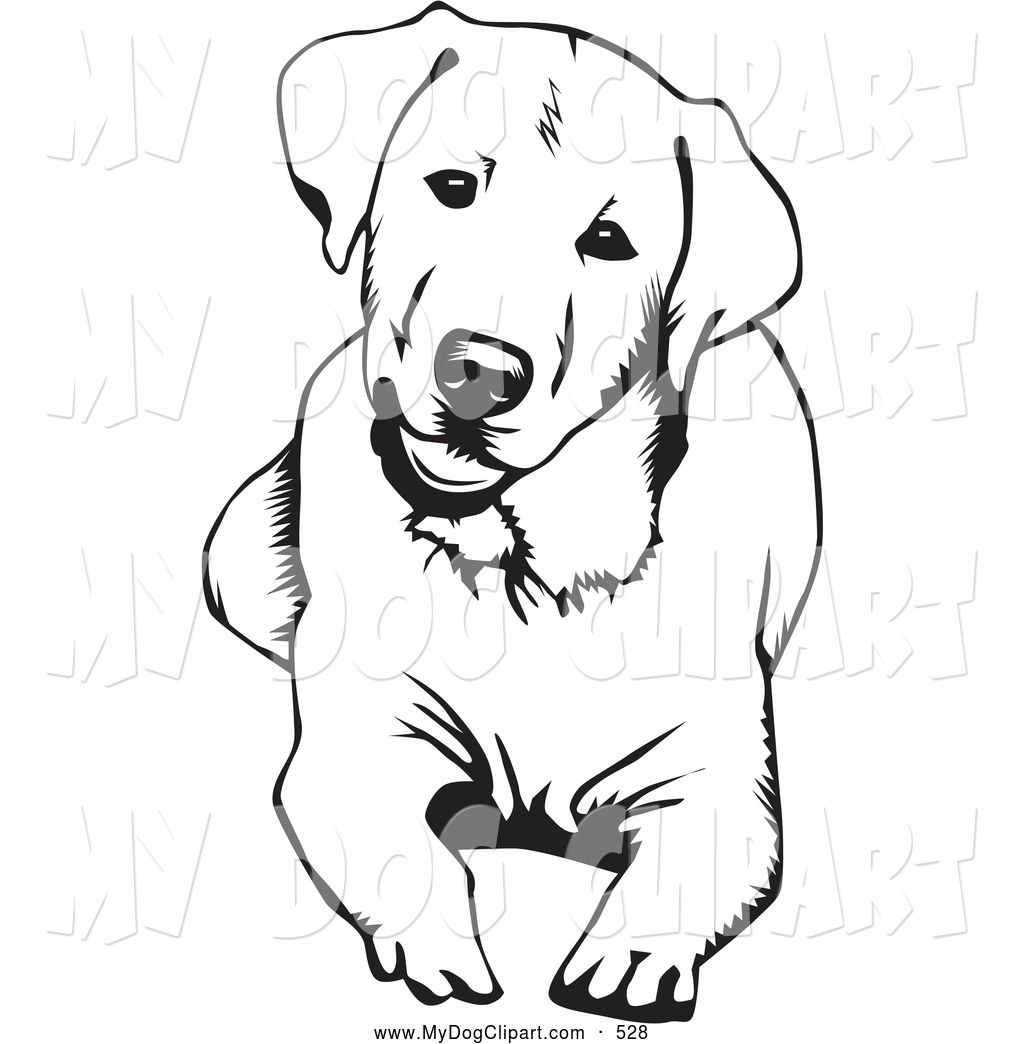 1024x1044 Clip Art Of A Cute And Curious Labrador Retriever Dog Lying Down