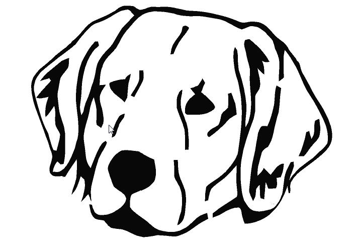 698x497 Golden Retriever Head Silhouette