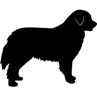 200x200 Lab Silhouette Clipart