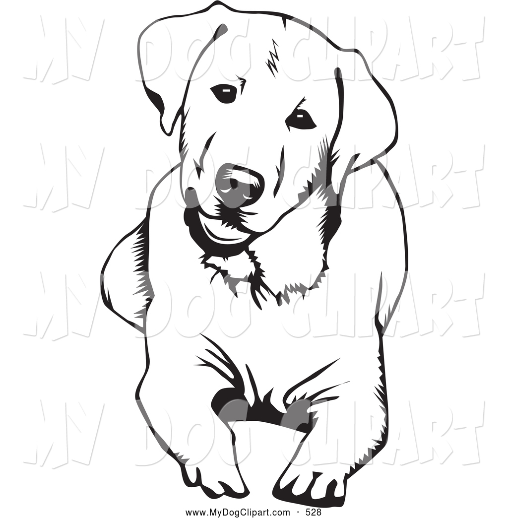1024x1044 Head Clipart Black Lab