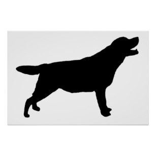 307x307 Labrador Silhouette Art Amp Framed Artwork Zazzle