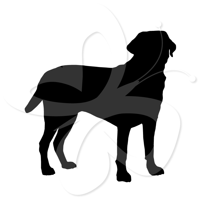801x801 Labrador Silhouette Clip Art