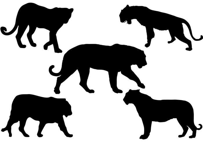 700x490 Free Tiger Silhouette Vector