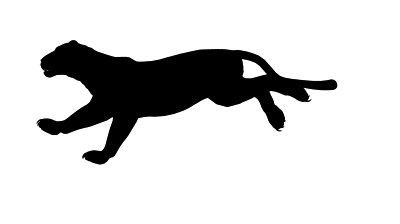 400x224 Black Panther Silhouette Isolated On White Background Masks