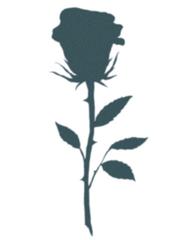 187x240 Rose Silhouette Tattoo Tattooednow! Ltd.