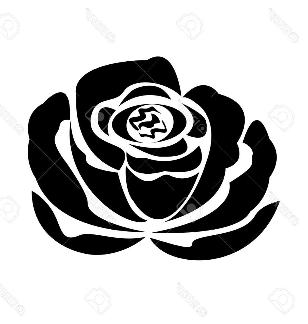 1024x1078 Top 10 Vector Black Rose Silhouette Stock Tattoo File Free