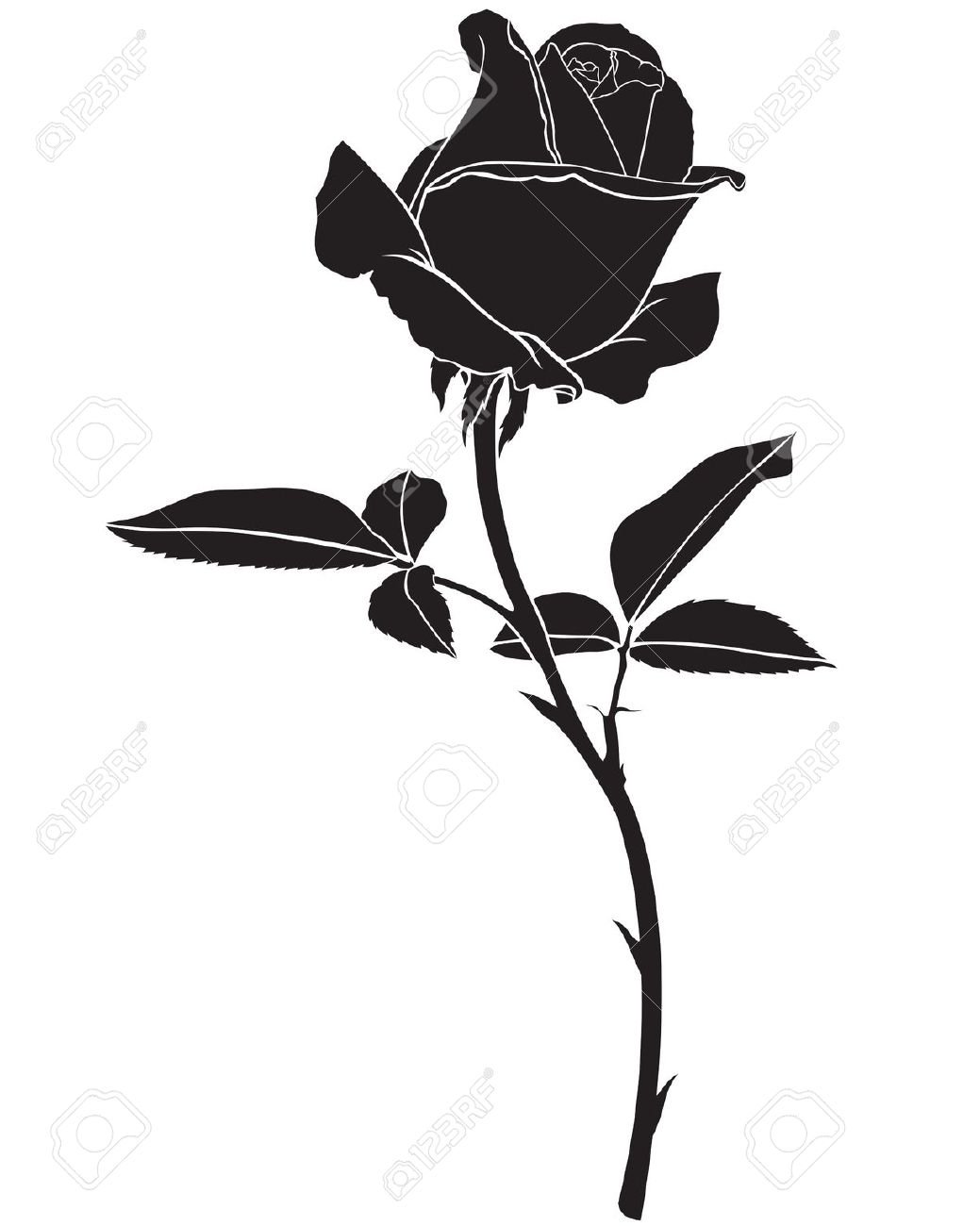 1039x1300 24805314 Silhouette Image Beautiful Rose Flower Stock Photo.jpg