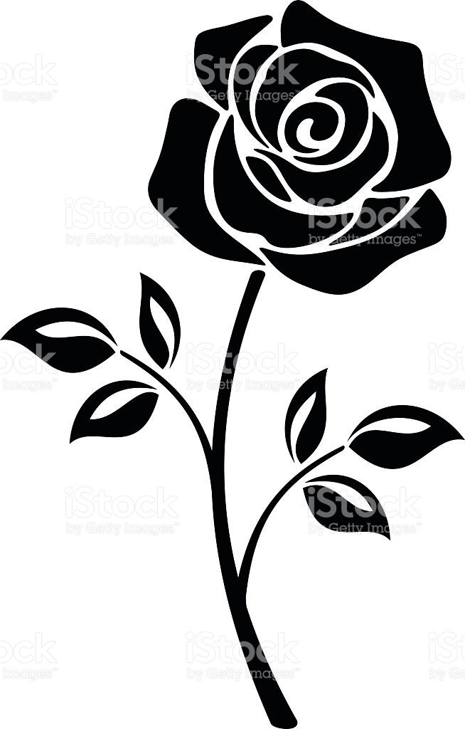 654x1024 Black Silhouette Of A Rose Flower Vector Illustrations Vector