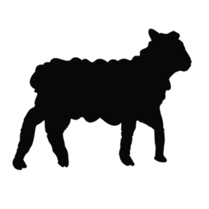 300x300 The Black Sheep Party