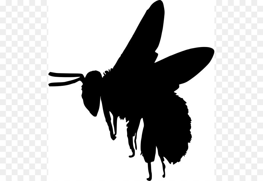 900x620 Stock Vector Silhouette Of A Honey Bee Contours Of A Wasp Black