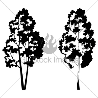 325x325 Oak Tree Pictogram, Black Silhouette And Contours Gl Stock Images