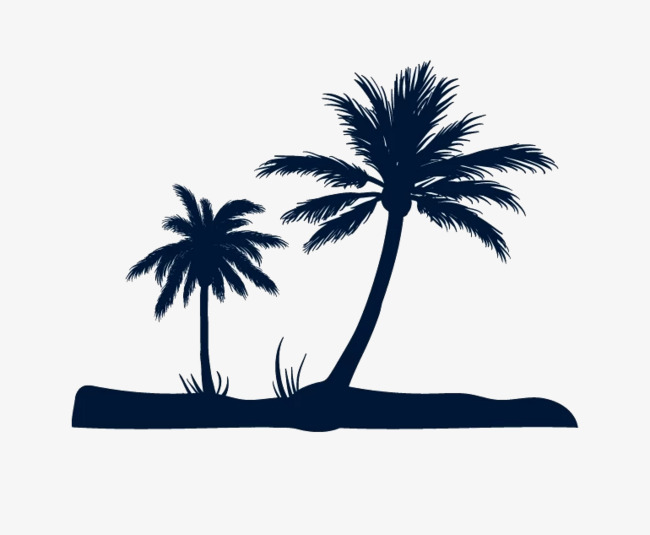 650x535 Coconut Tree Silhouette, Black, Coconut Tree, Beach Png Image
