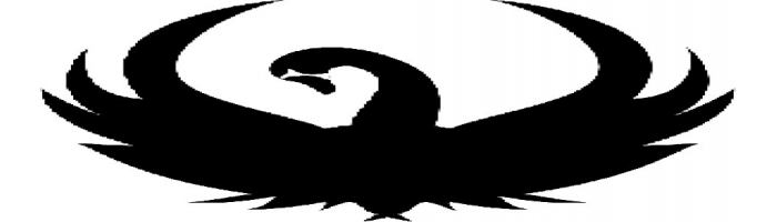 700x200 Black Swan Brewpub