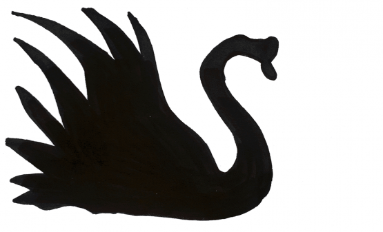 555x337 The Black Swan We Know Less About The Future Than We Think