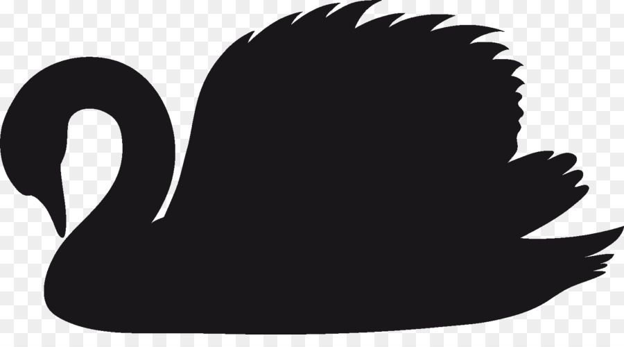 900x500 Black Swan Silhouette Photography Clip Art
