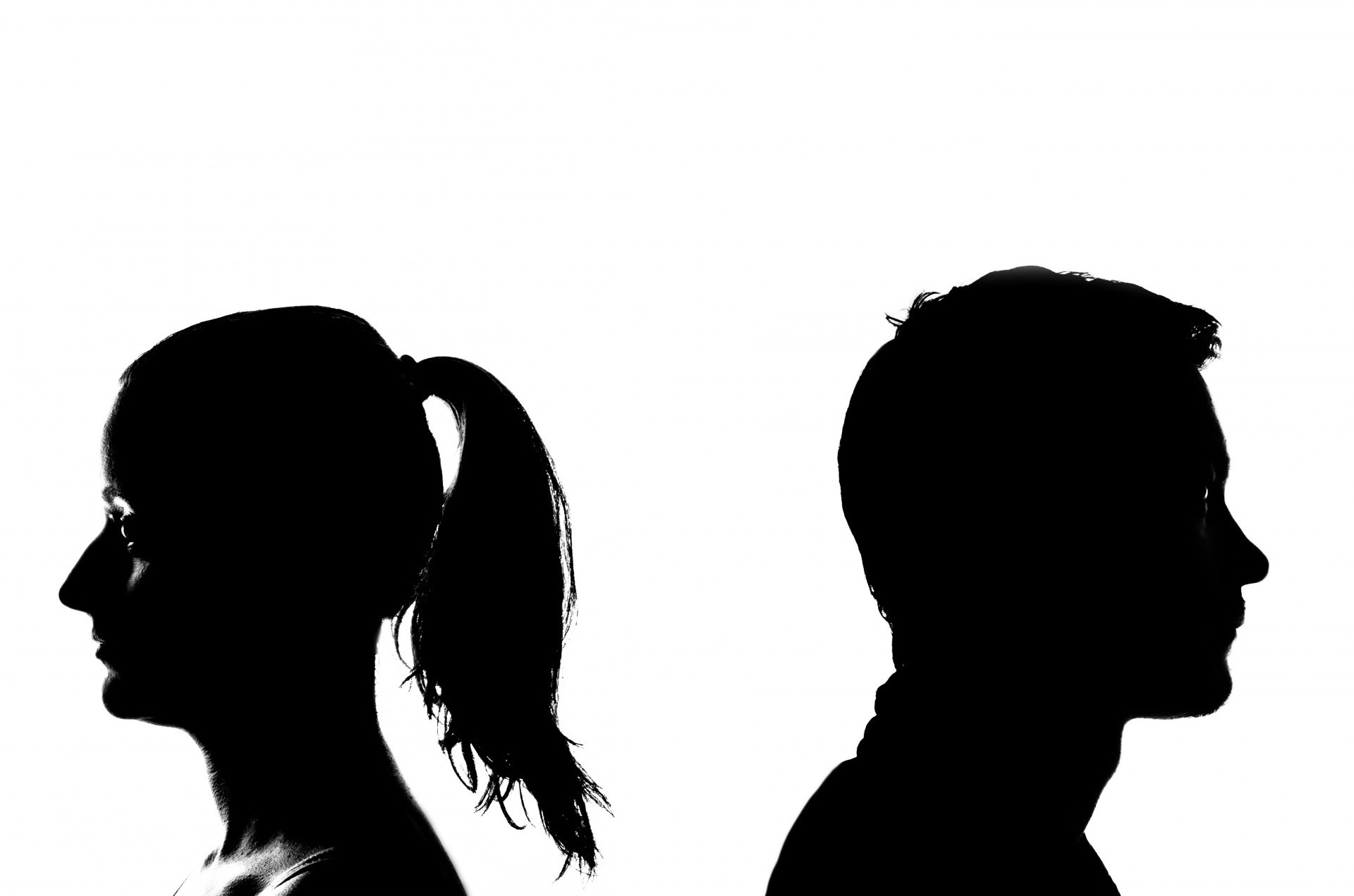 1920x1271 Free Images Hand, Silhouette, Black And White, Marriage
