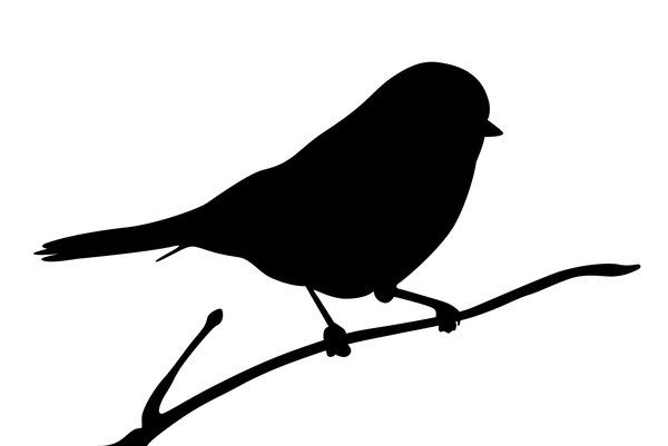 600x401 Silhouette Of A Bird Silhouette Finch Adobe Illustrator Cs5