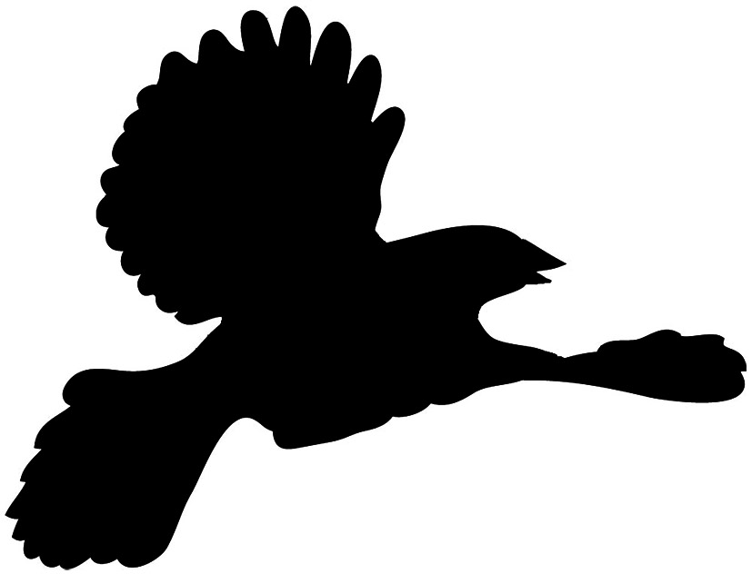 827x632 Bird Silhouettes