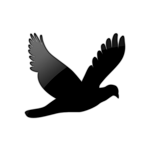 512x512 Black Bird Silhouette
