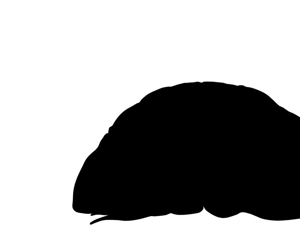 1024x768 Espada Silhouette