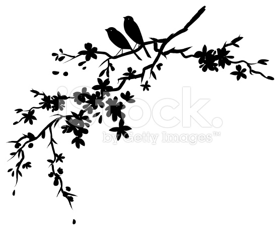 556x457 Two Little Birds Sitting On Cherry Blossoms Branch Silhouette