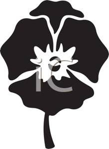 219x300 Of A Pansy Blossom