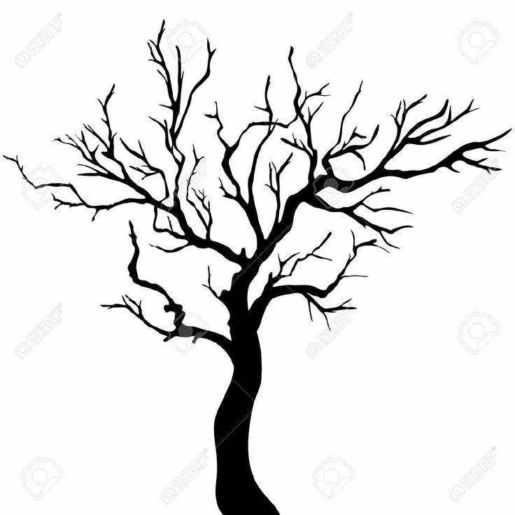 736x736 Clipart Of Tree Silhouette 101 Clip Art
