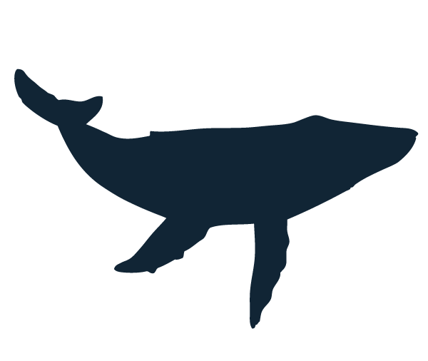 600x506 List Of Synonyms And Antonyms Of The Word Whale Silhouette