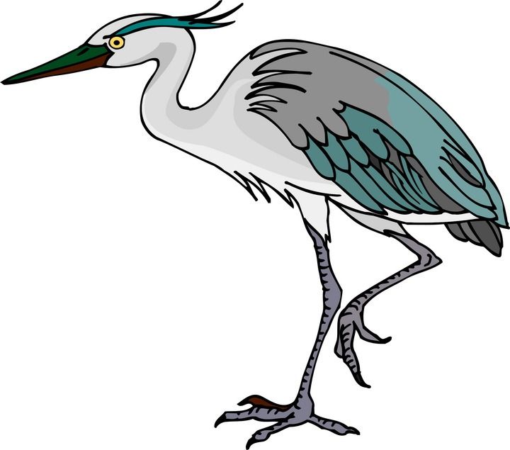 720x635 Great Blue Heron Clipart Marsh Grass 3581112