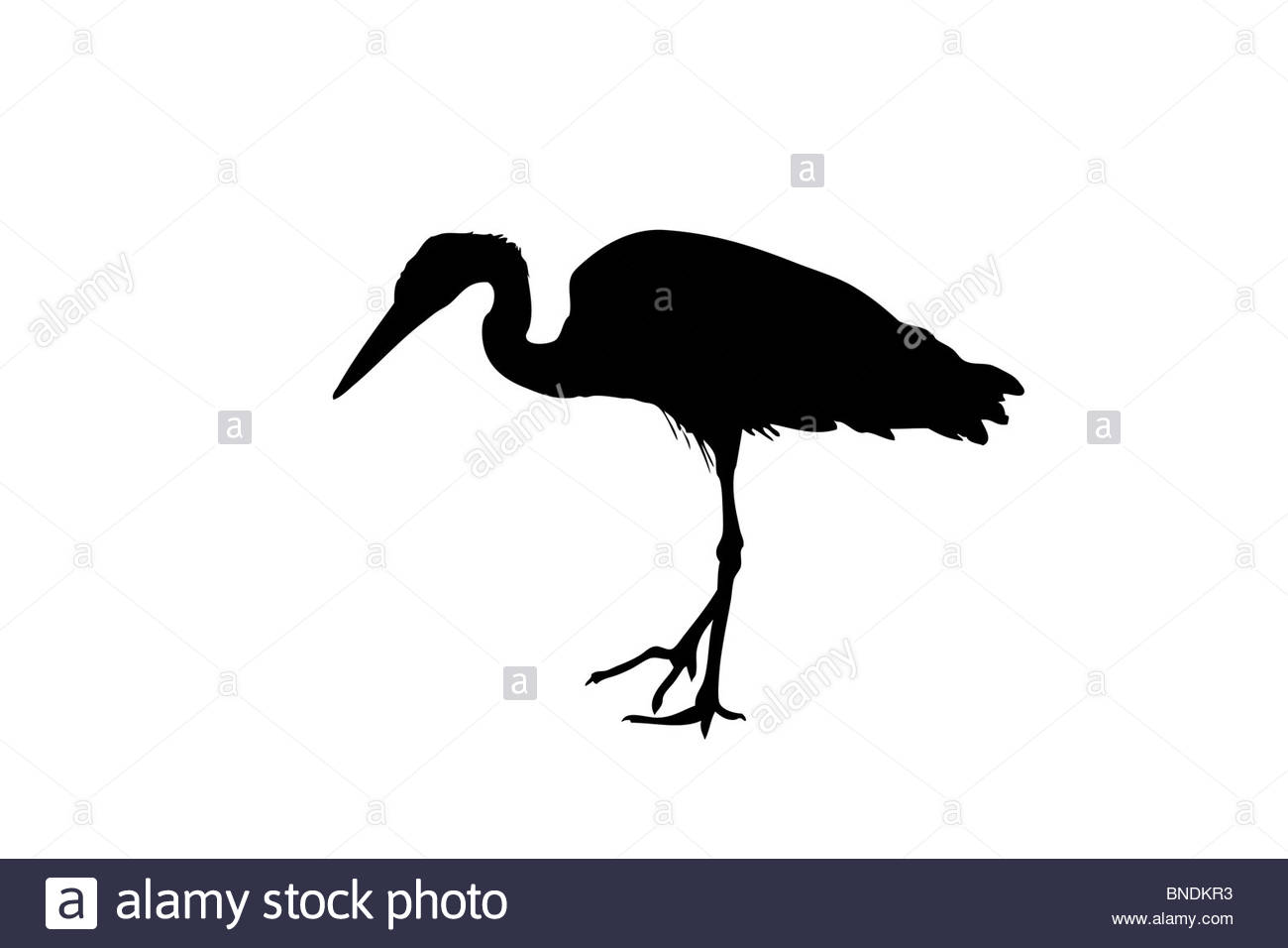 1300x956 A Silhouette Of A Heron Stock Photo 30419063