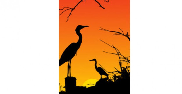 626x324 Heron Birds Silhouette Vector Free Download