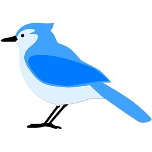 300x300 Bluejay Silhouette Design, Silhouettes And Silhouette Files