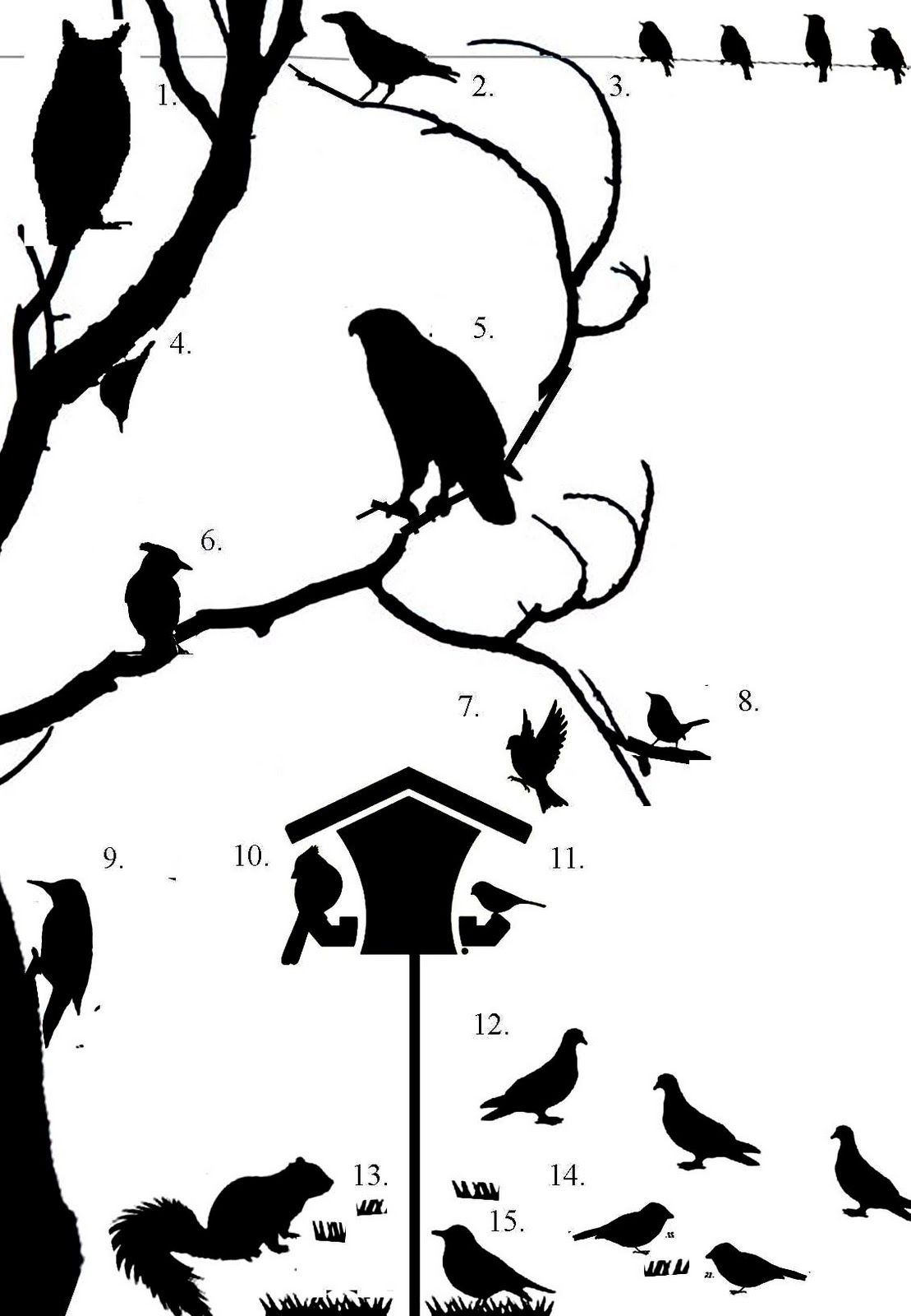1109x1600 Wild Birds Unlimited Can You Identify Birds By Their Silhouette