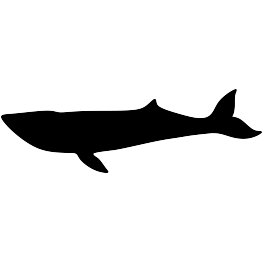 263x262 New Silhouettes Birthdays, Birds, And More