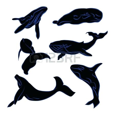 450x450 Whale Outline Big Whale Black Silhouette With Blue Outline
