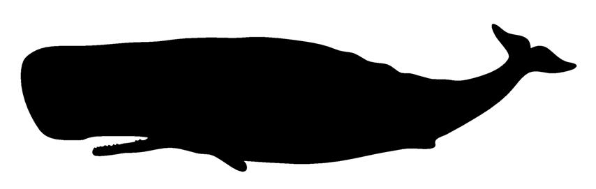 854x271 Whale Silhouette Decal Sticker