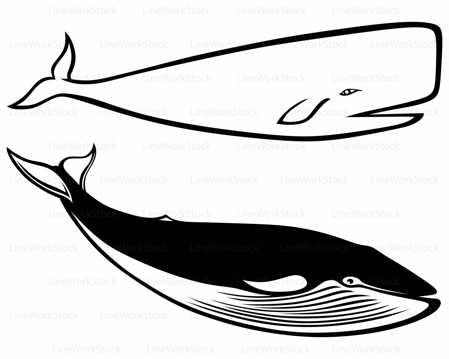 1500x1200 Whale Svghumpback Whale Clipartwhale Svgwhale Silhouettewhale